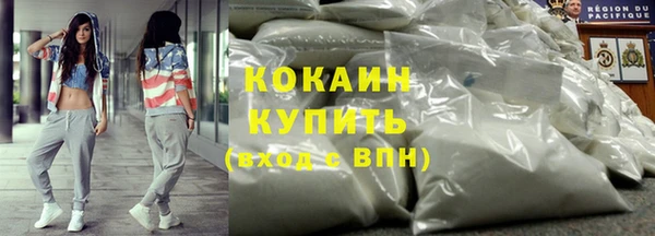 apvp Дмитриев