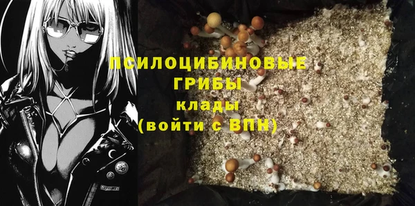 apvp Дмитровск