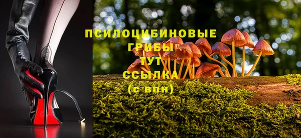 apvp Дмитровск