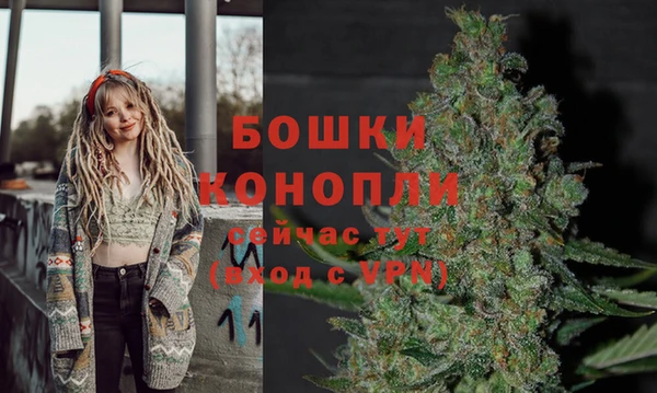 apvp Дмитриев