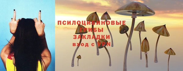 apvp Дмитриев