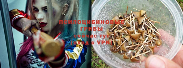 apvp Дмитровск