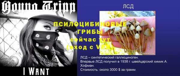 apvp Дмитриев